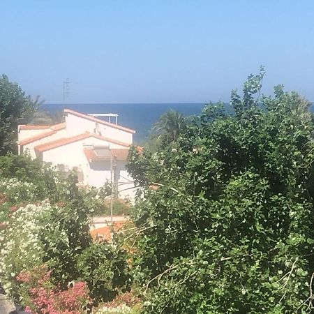 Primera Linea De Playa A 1Km Del Puerto De Dénia Buitenkant foto