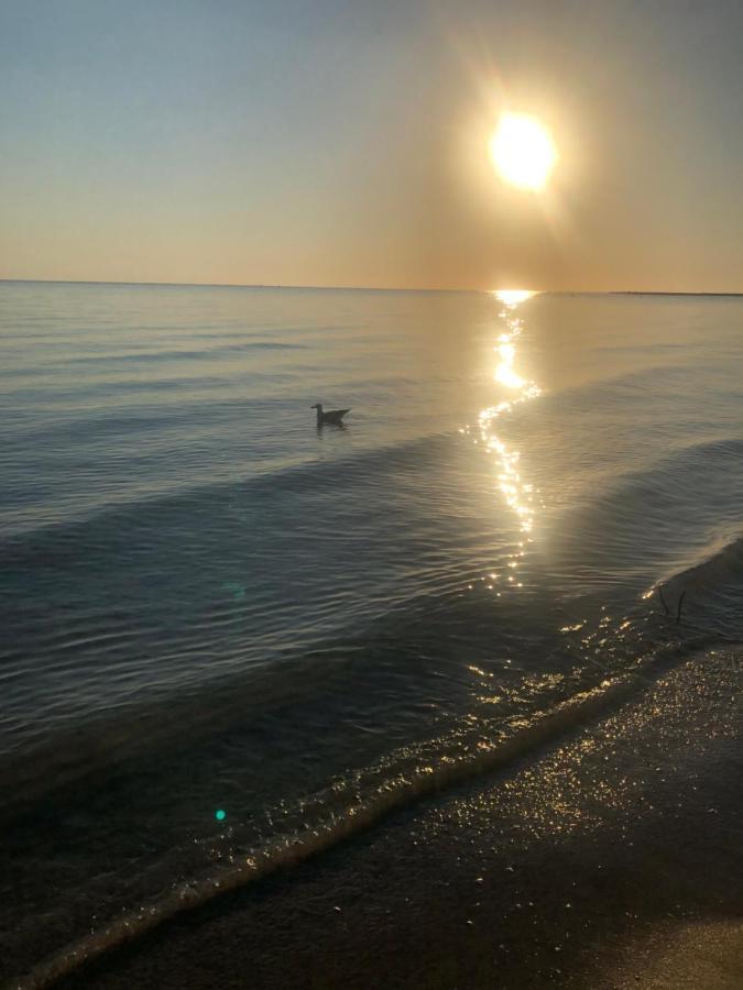 Primera Linea De Playa A 1Km Del Puerto De Dénia Buitenkant foto